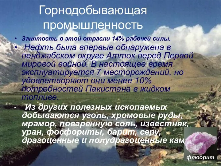 Горнодобывающая промышленность Занятость в этой отрасли 14% рабочей силы. Нефть была