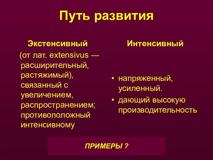 Путь развития Экстенсивный (от лат. extensivus — расширительный, растяжимый), связанный с