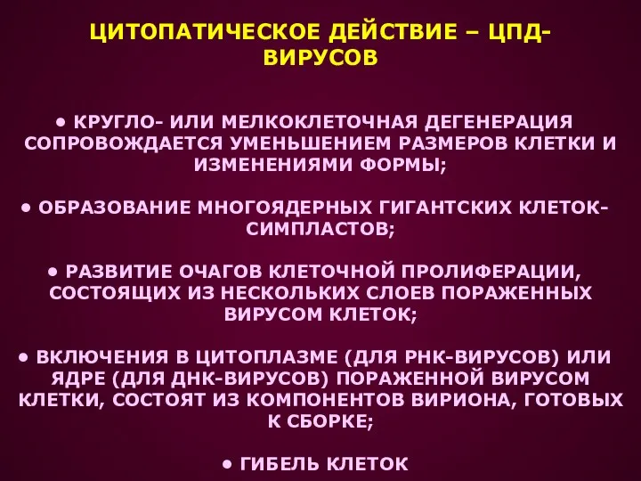 ЦИТОПАТИЧЕСКОЕ ДЕЙСТВИЕ – ЦПД- ВИРУСОВ КРУГЛО- ИЛИ МЕЛКОКЛЕТОЧНАЯ ДЕГЕНЕРАЦИЯ СОПРОВОЖДАЕТСЯ УМЕНЬШЕНИЕМ