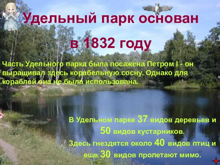 Удельный парк основан в 1832 году Часть Удельного парка была посажена