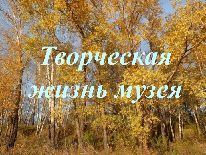 Творческая жизнь музея