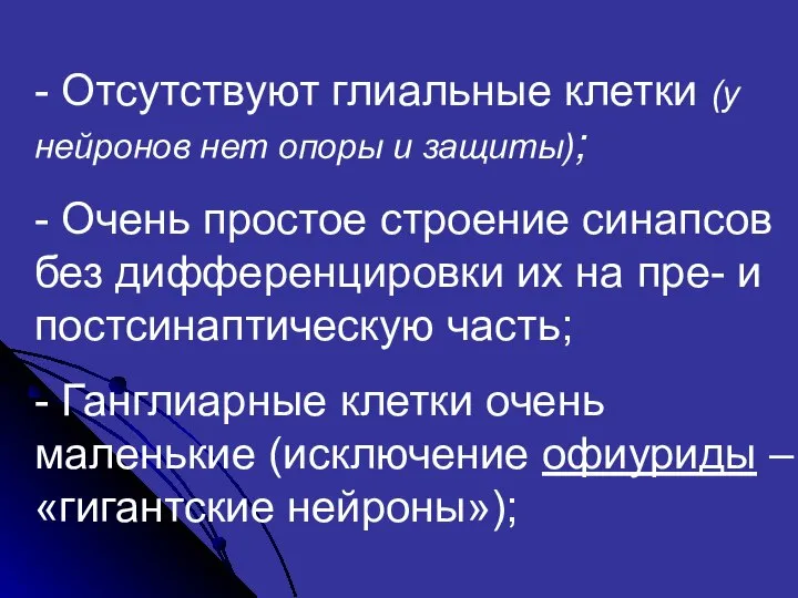 - Отсутствуют глиальные клетки (у нейронов нет опоры и защиты); -