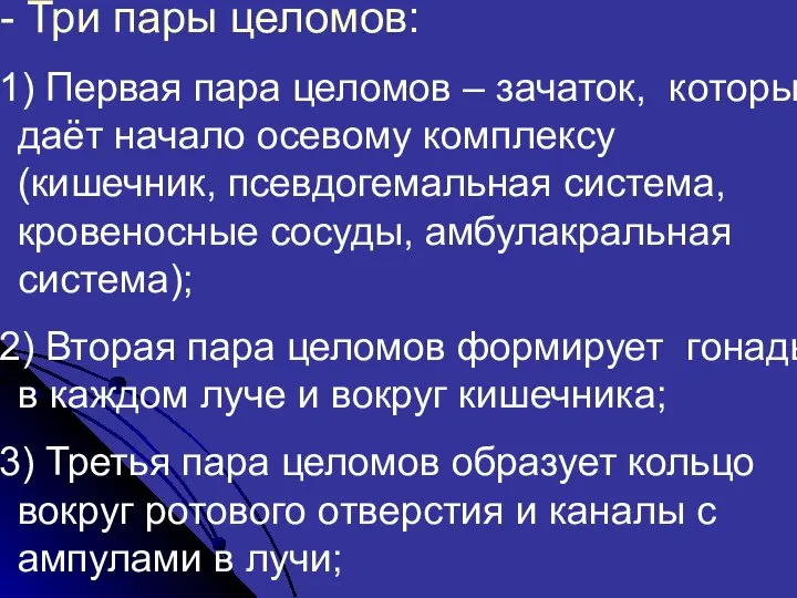 - Три пары целомов: 1) Первая пара целомов – зачаток, который