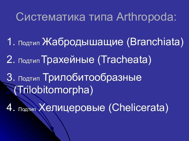 Систематика типа Arthropoda: 1. Подтип Жабродышащие (Branchiata) 2. Подтип Трахейные (Tracheata)