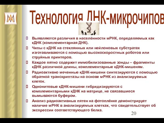 Выявляются различия в населённости мРНК, определяемых как кДНК (комплементарная ДНК). Чипы