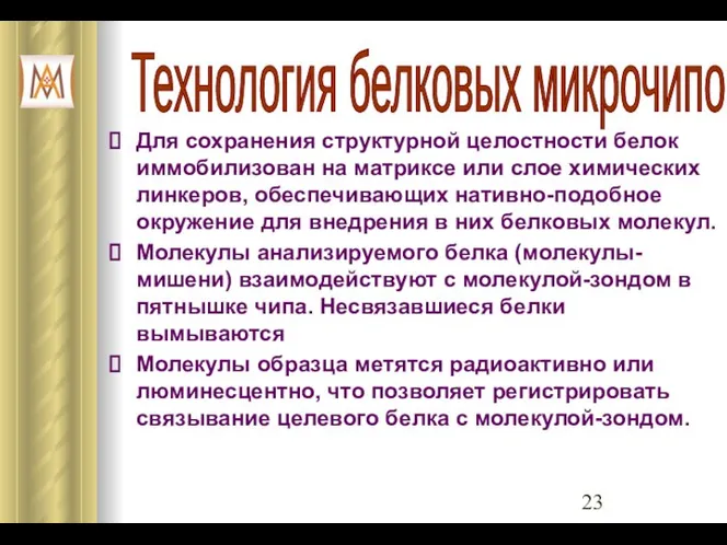 Для сохранения структурной целостности белок иммобилизован на матриксе или слое химических