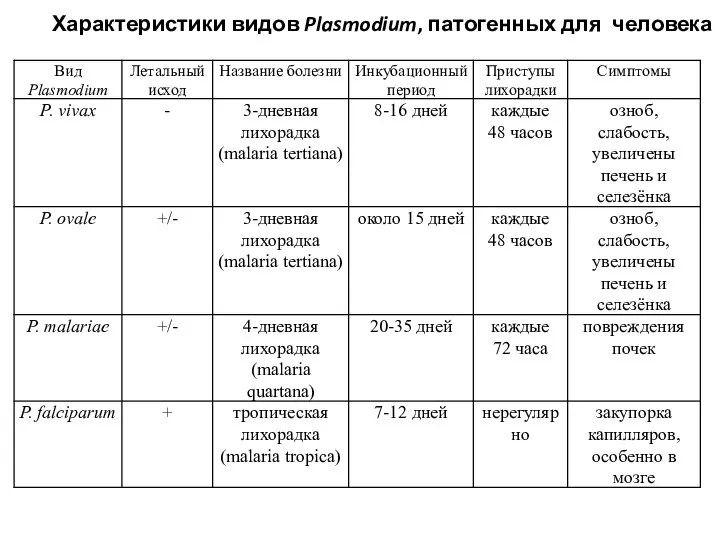 Характеристики видов Plasmodium, патогенных для человека