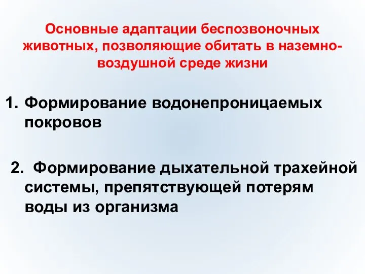 Основные адаптации беспозвоночных животных, позволяющие обитать в наземно- воздушной среде жизни