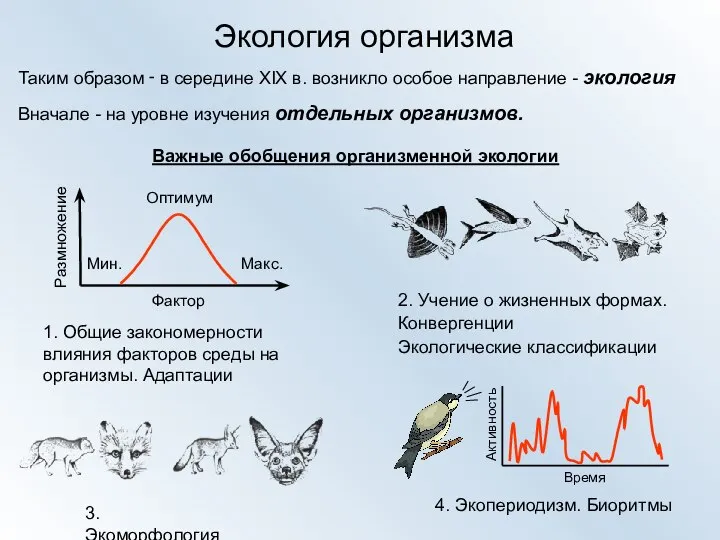 Экология организма Таким образом ‑ в середине XIX в. возникло особое