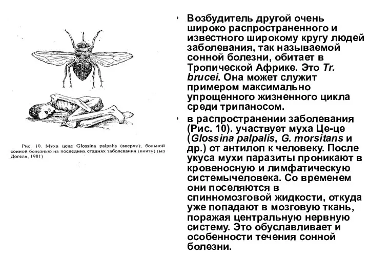 Возбудитель другой очень широко распространенного и известного широкому кругу людей заболевания,