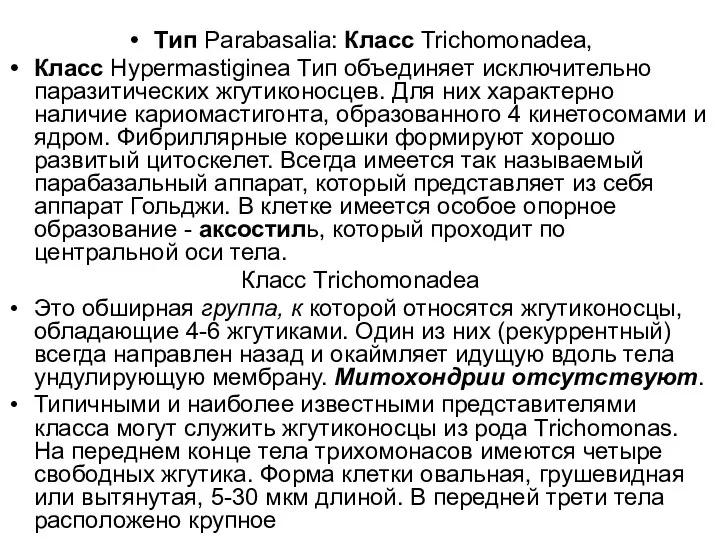 Tип Parabasalia: Класс Trichomonadea, Класс Hypermastiginеa Тип объединяет исключительно паразитических жгутиконосцев.