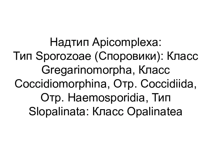 Надтип Apicomplexa: Тип Sporozoaе (Споровики): Класс Gregarinomorpha, Класс Coccidiomorphina, Отр. Сoccidiida,