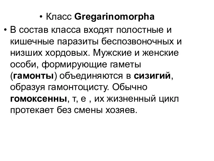 Класс Gregarinomorphа В состав класса входят полостные и кишечные паразиты беспозвоночных