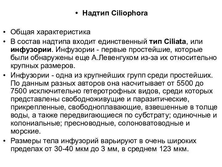 Надтип Ciliophora Общая характеристика В состав надтипа входит единственный тип Ciliata,