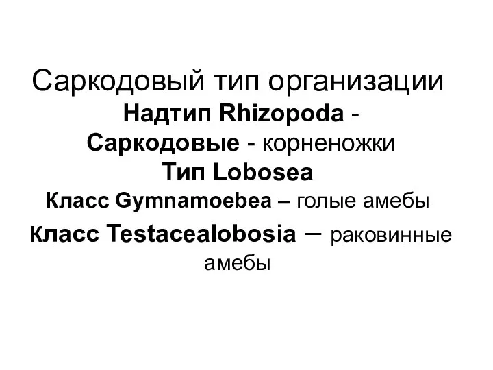 Саркодовый тип организации Надтип Rhizopoda - Саркодовые - корненожки Тип Lobosea