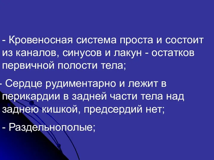 - Кровеносная система проста и состоит из каналов, синусов и лакун