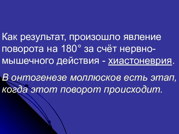 Как результат, произошло явление поворота на 180° за счёт нервно-мышечного действия