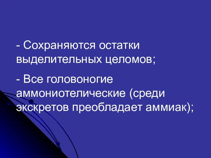 - Сохраняются остатки выделительных целомов; - Все головоногие аммониотелические (среди экскретов преобладает аммиак);