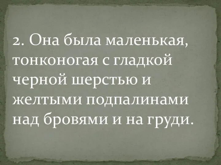 2. Она была маленькая, тонконогая с гладкой черной шерстью и желтыми