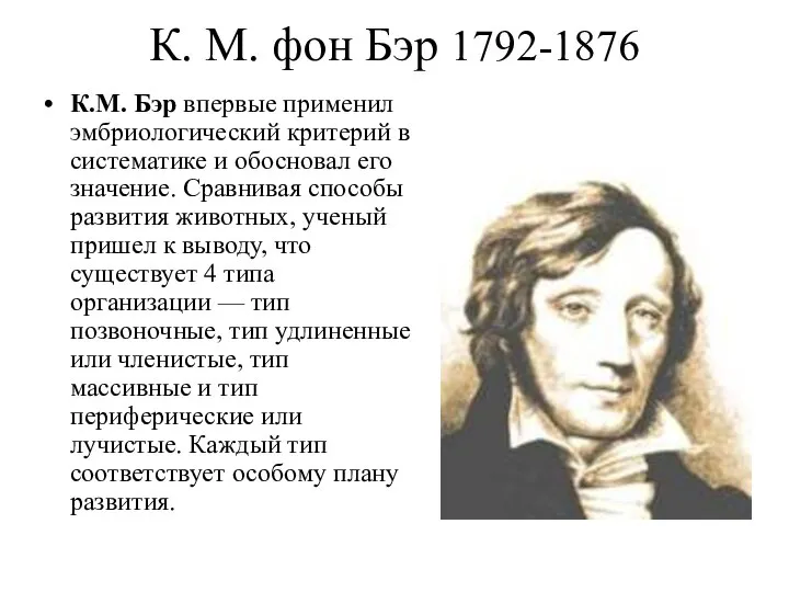 К. М. фон Бэр 1792-1876 К.М. Бэр впервые применил эмбриологический критерий