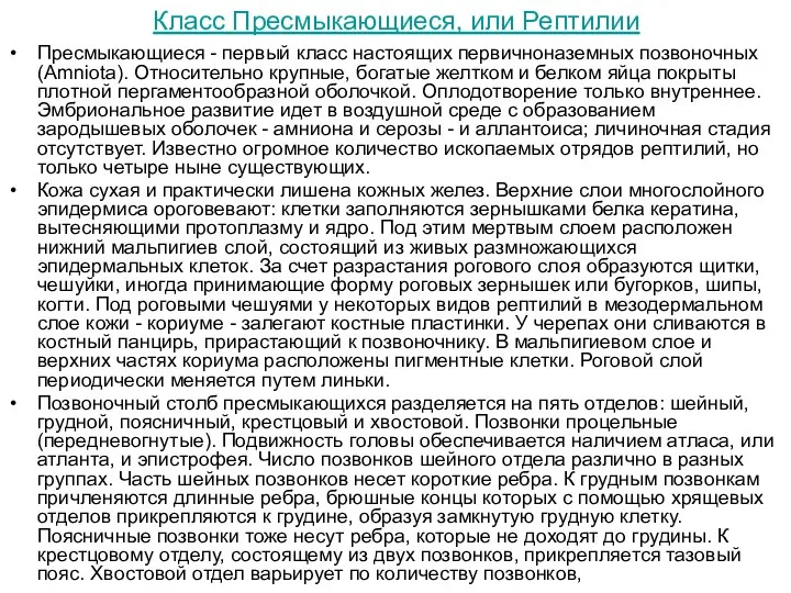 Класс Пресмыкающиеся, или Рептилии Пресмыкающиеся - первый класс настоящих первичноназемных позвоночных