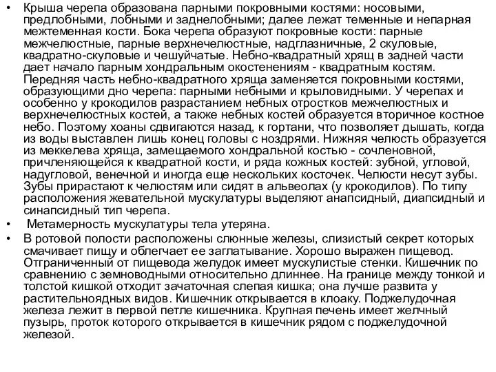 Крыша черепа образована парными покровными костями: носовыми, предлобными, лобными и заднелобными;