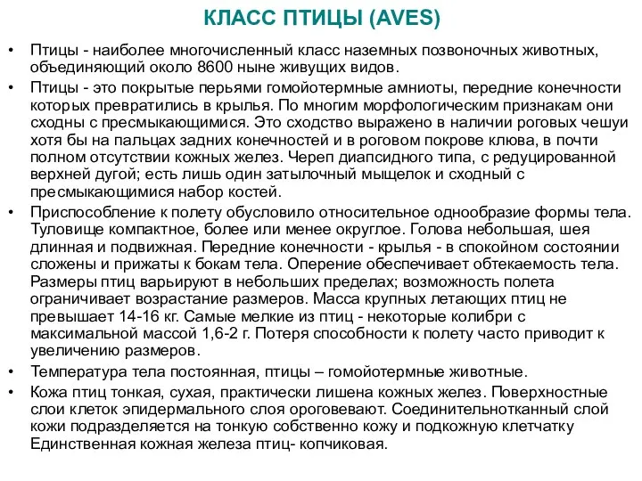 КЛАСС ПТИЦЫ (AVES) Птицы - наиболее многочисленный класс наземных позвоночных животных,