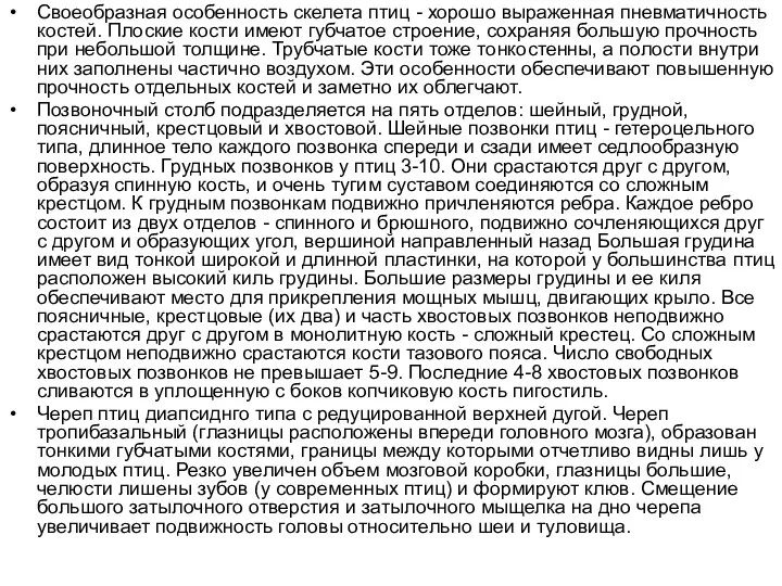 Своеобразная особенность скелета птиц - хорошо выраженная пневматичность костей. Плоские кости