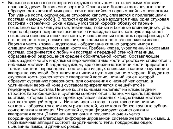 Большое затылочное отверстие окружено четырьмя затылочными костями: основной, двумя боковыми и