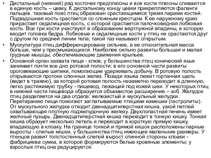 Дистальный (нижний) ряд косточек предплюсны и все кости плюсны сливаются в