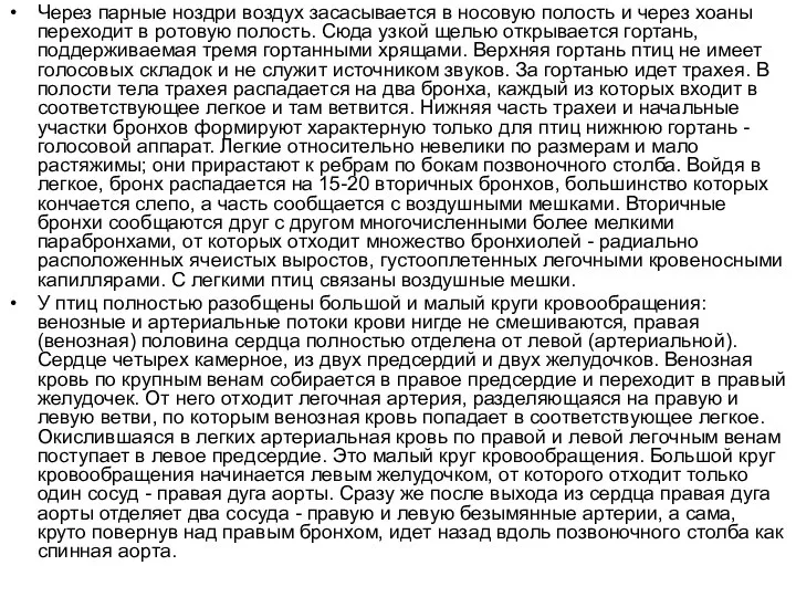 Через парные ноздри воздух засасывается в носовую полость и через хоаны