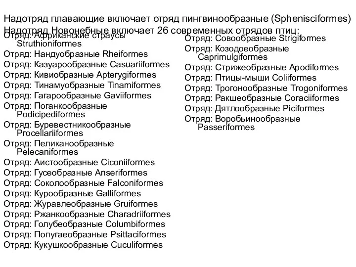 Надотряд плавающие включает отряд пингвинообразные (Sphenisciformes) Надотряд Новонебные включает 26 современных