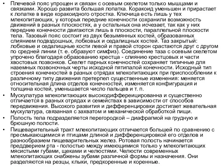 Плечевой пояс упрощен и связан с осевым скелетом только мышцами и