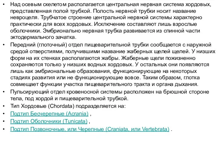 Над осевым скелетом располагается центральная нервная система хордовых, представленная полой трубкой.