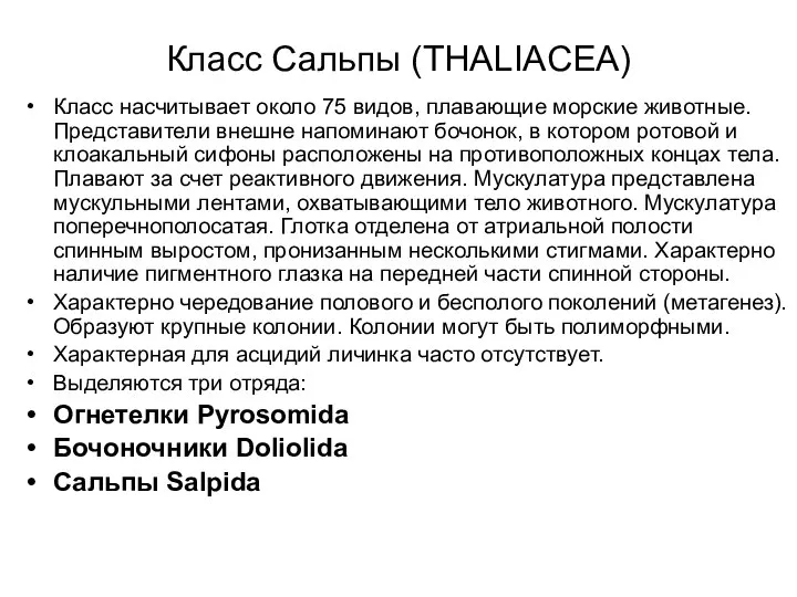 Класс Сальпы (THALIACEA) Класс насчитывает около 75 видов, плавающие морские животные.