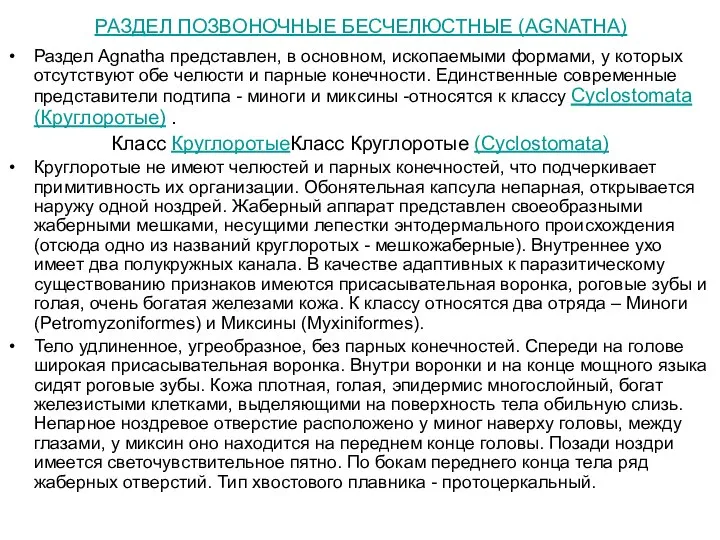 РАЗДЕЛ ПОЗВОНОЧНЫЕ БЕСЧЕЛЮСТНЫЕ (AGNATHA) Раздел Agnatha представлен, в основном, ископаемыми формами,