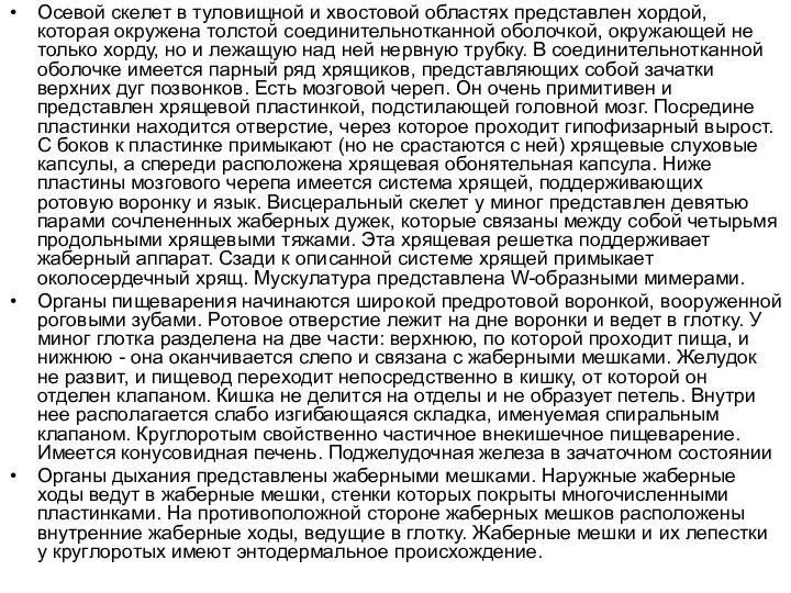 Осевой скелет в туловищной и хвостовой областях представлен хордой, которая окружена