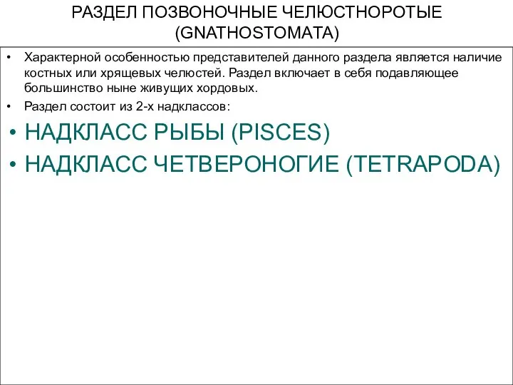 РАЗДЕЛ ПОЗВОНОЧНЫЕ ЧЕЛЮСТНОРОТЫЕ (GNATHOSTOMAТА) Характерной особенностью представителей данного раздела является наличие