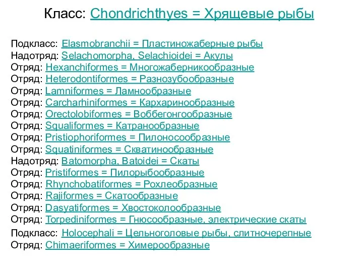 Класс: Chondrichthyes = Хрящевые рыбы Подкласс: Elasmobranchii = Пластиножаберные рыбы Надотряд: