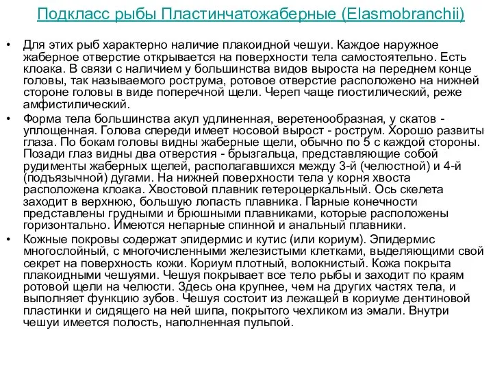 Подкласс рыбы Пластинчатожаберные (Elasmobranchii) Для этих рыб характерно наличие плакоидной чешуи.