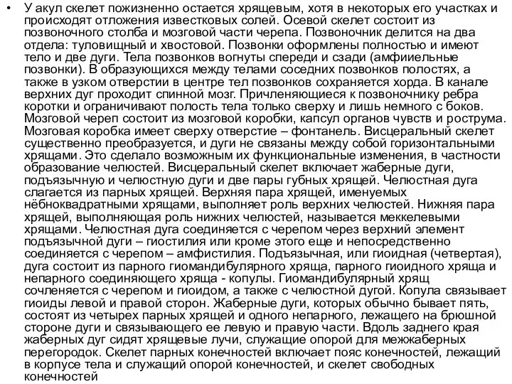 У акул скелет пожизненно остается хрящевым, хотя в некоторых его участках