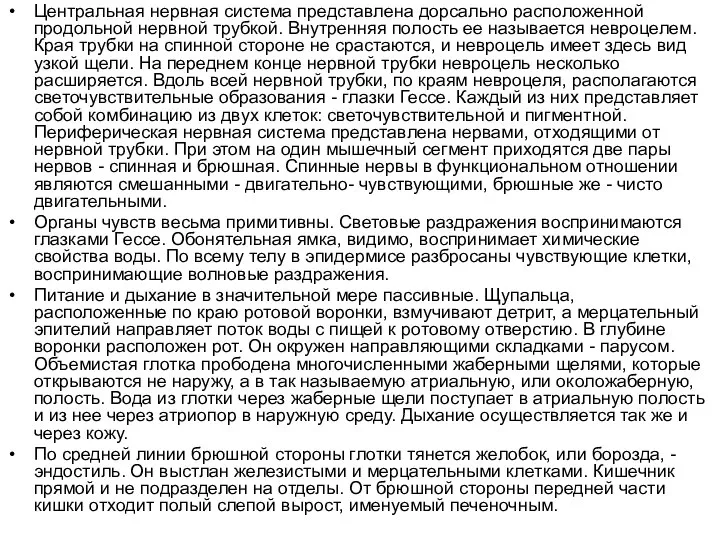 Центральная нервная система представлена дорсально расположенной продольной нервной трубкой. Внутренняя полость