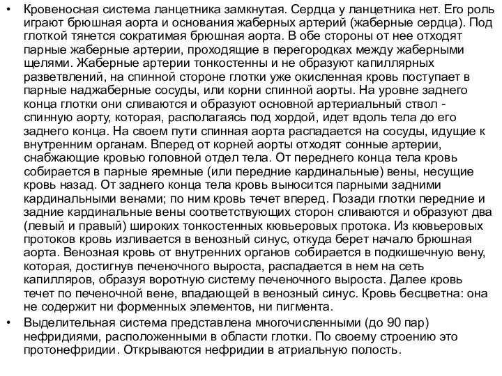 Кровеносная система ланцетника замкнутая. Сердца у ланцетника нет. Его роль играют