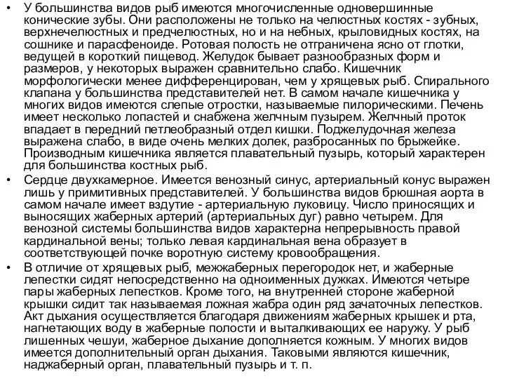 У большинства видов рыб имеются многочисленные одновершинные конические зубы. Они расположены