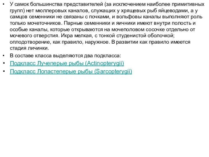 У самок большинства представителей (за исключением наиболее примитивных групп) нет мюллеровых