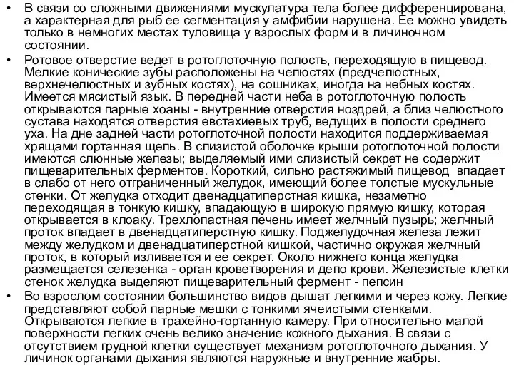 В связи со сложными движениями мускулатура тела более дифференцирована, а характерная