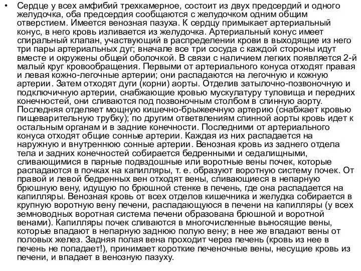 Сердце у всех амфибий трехкамерное, состоит из двух предсердий и одного