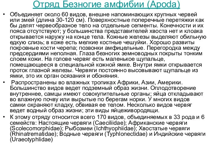 Отряд Безногие амфибии (Apoda) Объединяет около 60 видов, внешне напоминающих крупных