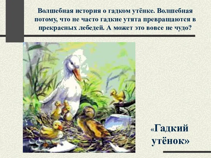 Волшебная история о гадком утёнке. Волшебная потому, что не часто гадкие