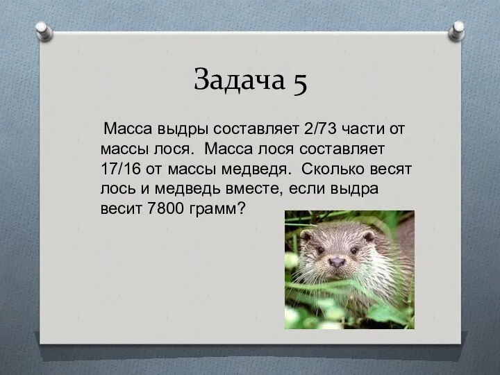 Задача 5 Масса выдры составляет 2/73 части от массы лося. Масса